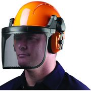 Centurion Forestry Mesh Visor